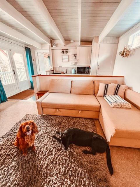 Blankednick Boltholes - 3 Beautiful Family Or Couples Cornish Getaways Villa Труро Екстериор снимка